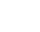 Investor